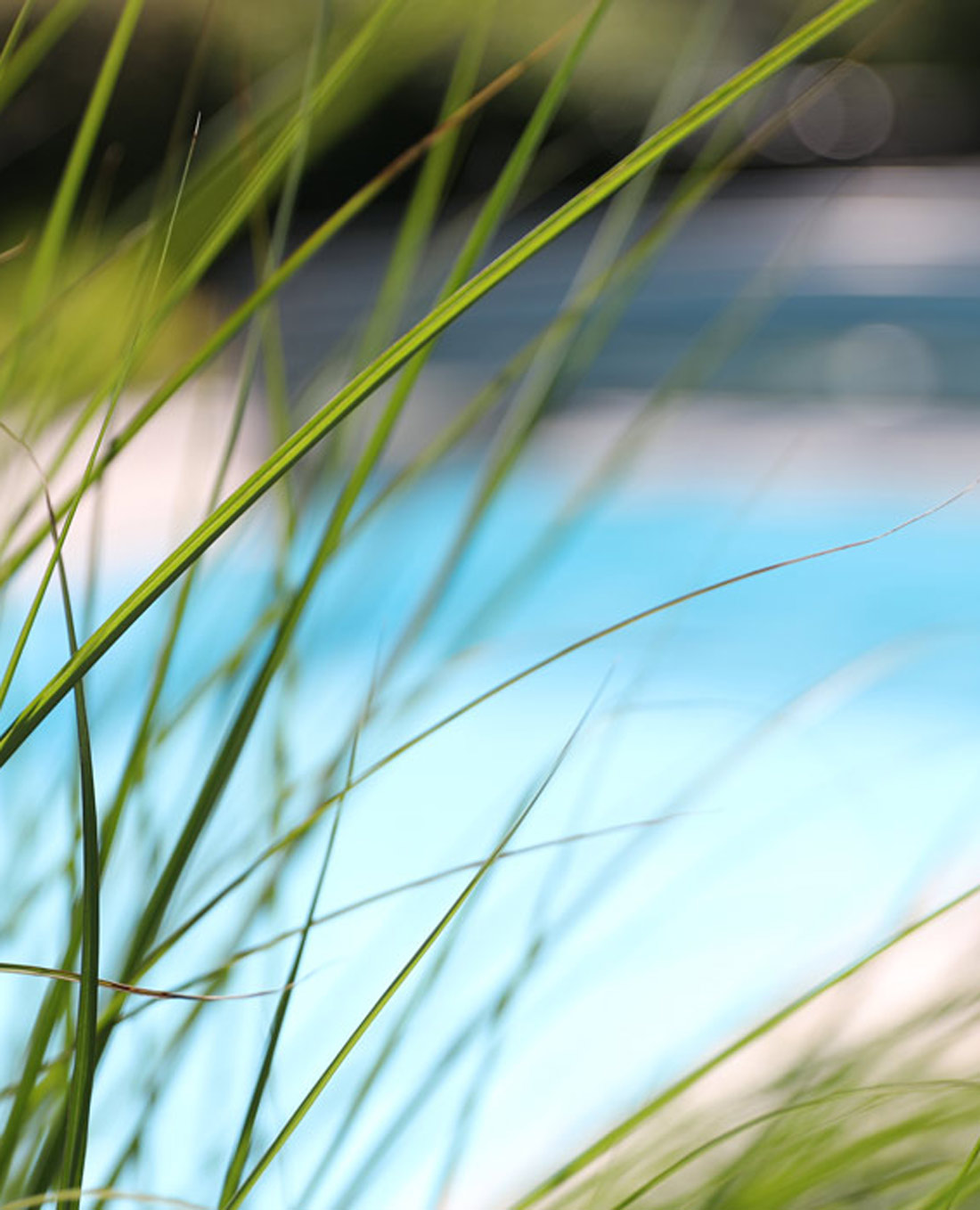 Swimming-Pool im eigenen Poolgarten Swimming-Pool im eigenen Poolgarten